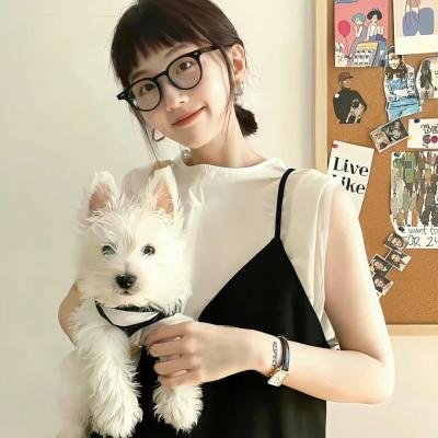 完美嫌疑人